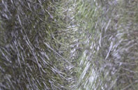 North Kelsey Moor fibreglass roof work